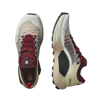 Pair of running shoes with a beige and maroon design on a beige background