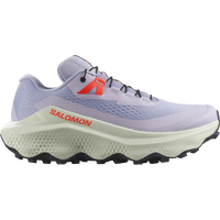 Salomon running shoe on a white background