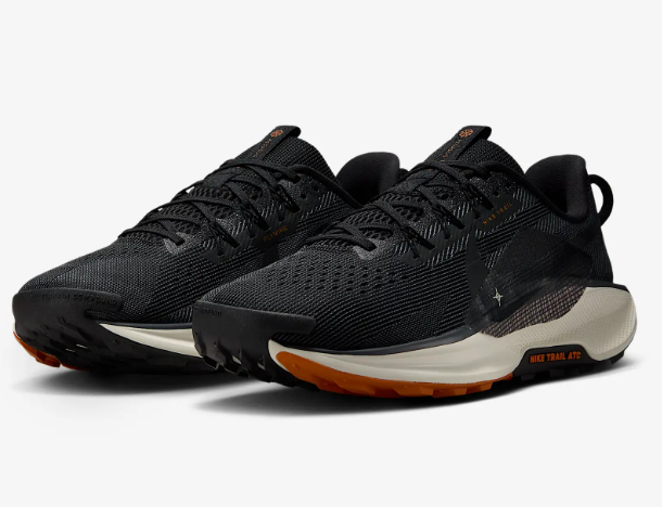 Nike Pegasus Trail 5 Black/White