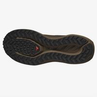 SALOMON - DRX DEFY GRVL PNS
