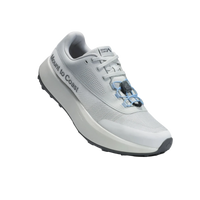 Mount To Coast H1 - White Sands