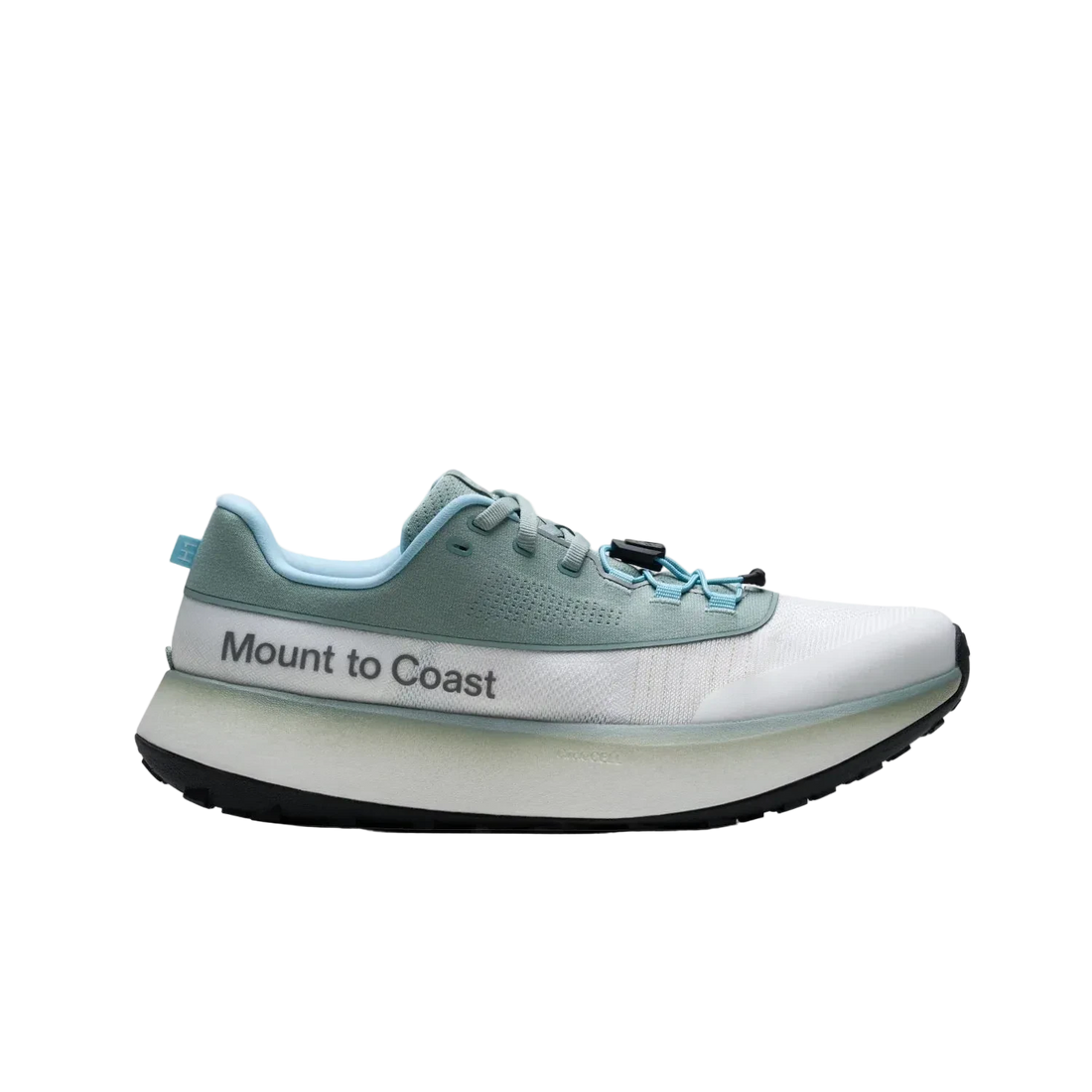 Mount To Coast H1 - Everglades