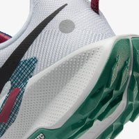 NIKE Pegasus Trail 5 GR11